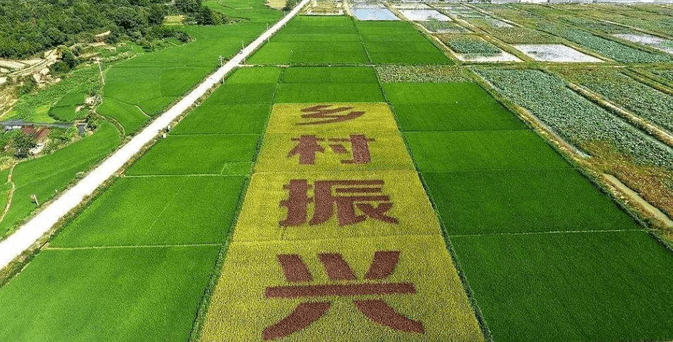 人民日?qǐng)?bào)“鄉(xiāng)村振興計(jì)劃”為何看上他？_直播_行業(yè)_農(nóng)產(chǎn)品